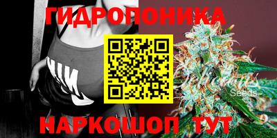 apvp Татарск