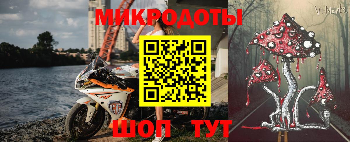 Кызыл  Псилоцибиновые грибы MAGIC MUSHROOMS  Вход с VPN 